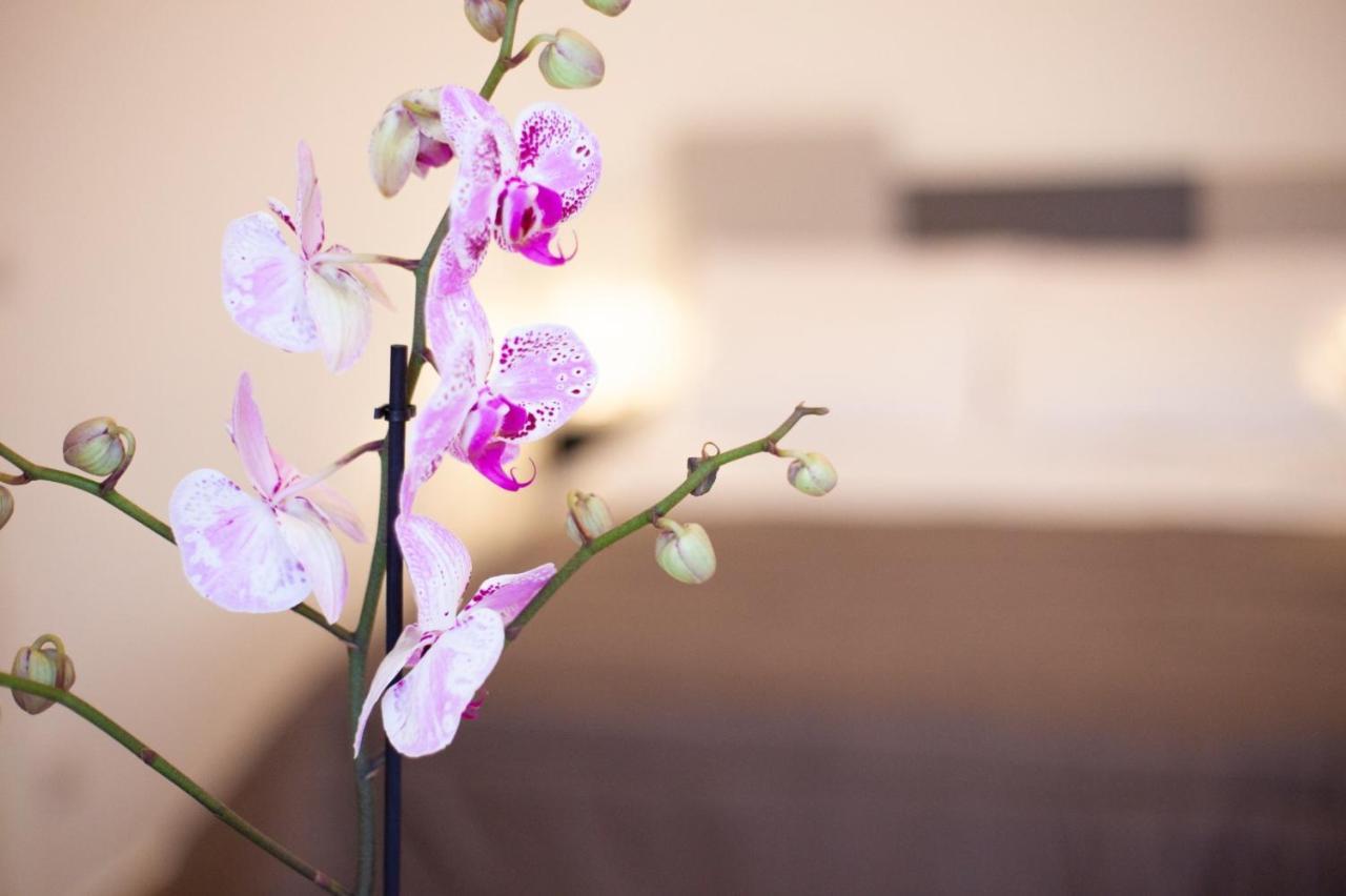 Casapaola B&B Rooms Acireale Zewnętrze zdjęcie